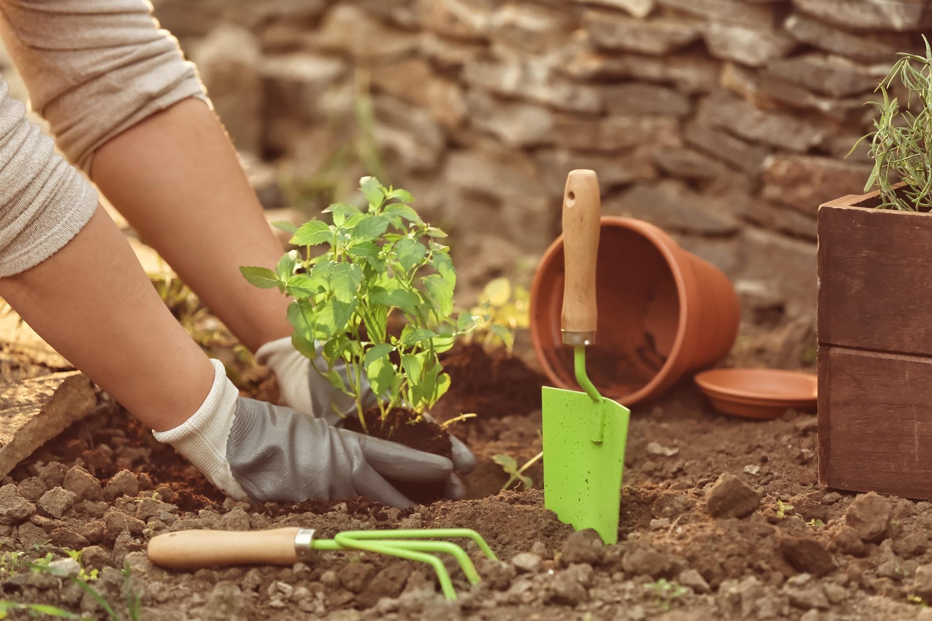  Productos de jardinería